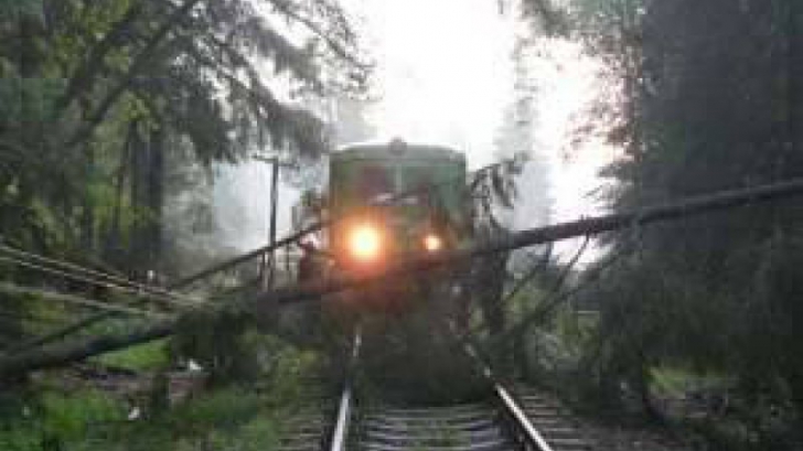 Trafic feroviar BLOCAT în Braşov, după ce un copac a căzut peste calea ferată 