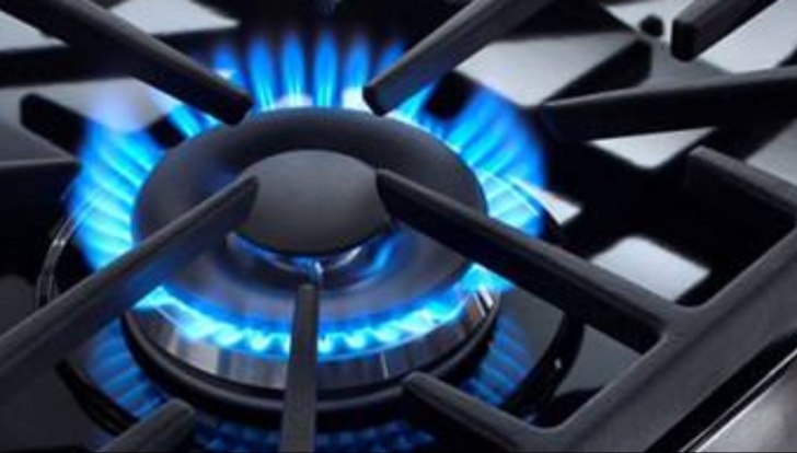 Preţul gazelor, verificat de Comisia parlamentară de anchetă ANRE 