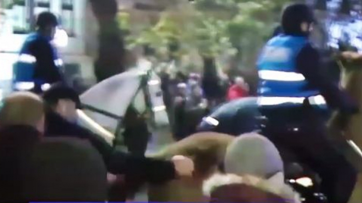 Incredibil! Caii Jandarmeriei au fost LOVIȚI de protestatari. Imagini ȘOCANTE au ieșit la iveală!