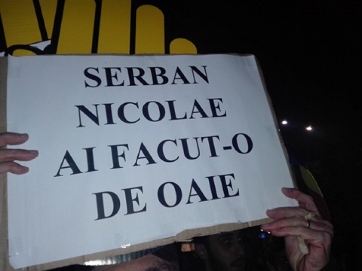 Cele mai amuzante pancarte de la protestul din Piaţa Victoriei: "Dragă OLAF, ne scapi de Dragnea?"