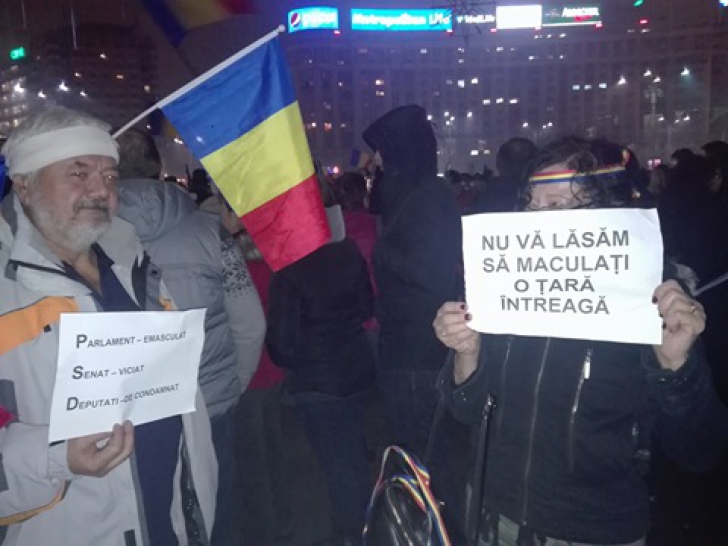 Cele mai amuzante pancarte de la protestul din Piaţa Victoriei: "Dragă OLAF, ne scapi de Dragnea?"