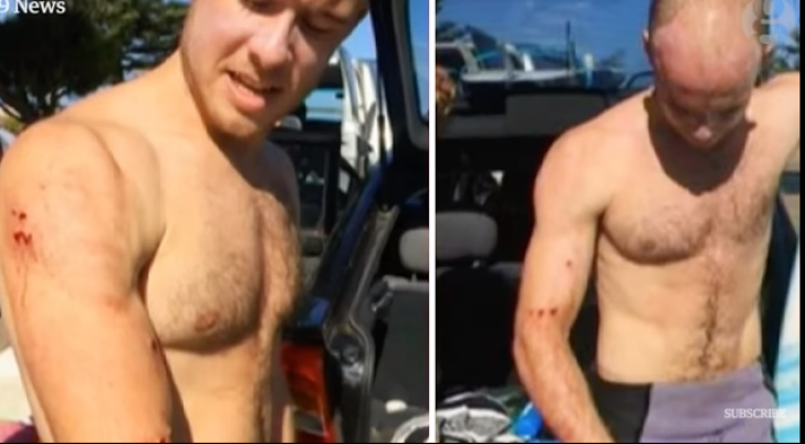 Cum s-a salvat un surfer din Australia atacat de un rechin. Este incredibil(VIDEO)