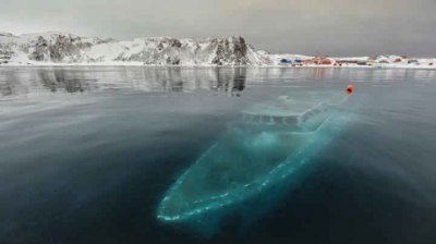 Ce au găsit exploratorii sub apa îngheţată din Antarctica este de groază! Era acolo de zeci de ani