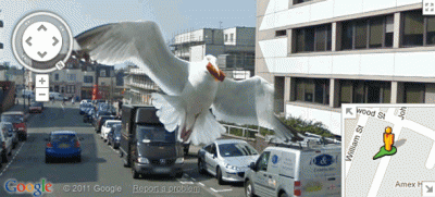 Google Street View. Cele mai bizare imagini care apar pe hartă