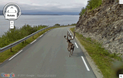 Google Street View. Cele mai bizare imagini care apar pe hartă