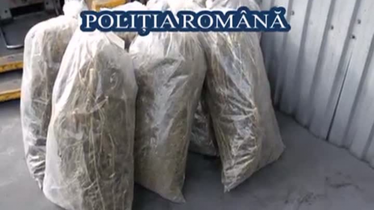 Poliția Română a distrus peste o tonă de droguri