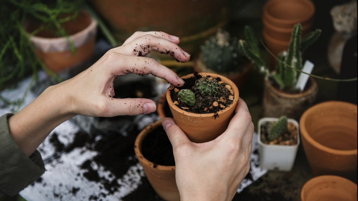 12 sfaturi despre sănătate pe care ar trebui să le urmezi în 2018. La punctul 9 nu te-ai fi gândit