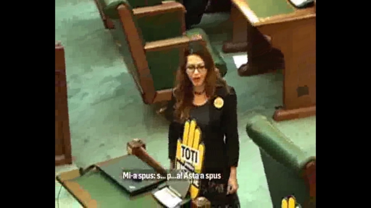 Ce reacție a avut Liviu Dragnea, după ce un senator PSD i-a adresat obscenități unei senatoare