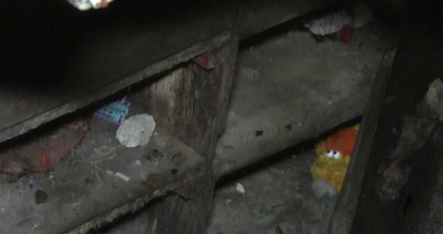 S-au mutat &icirc;n casă nouă. Sub garaj, au găsit o CAMERĂ SECRETĂ. Acolo au dat de ceva &Icirc;NFIORĂTOR!&nbsp;