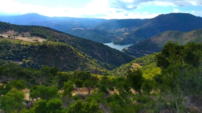 Ollolai, orăşelul în care casele se vând cu 1 euro