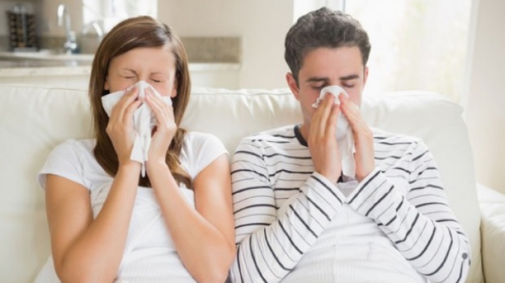 Avertismentul unui medic român: "Atenţie. Cum prevenim gripa de tip A, porcină"