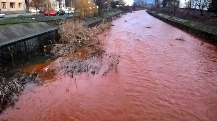 Apele unui râu din România s-au colorat peste noapte în PORTOCALIU. Hidrologii, uimiți