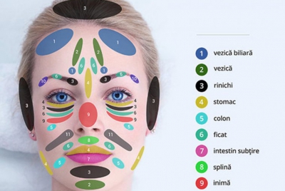 Harta nevăzută a feţei: Cele 11 zone care-ţi reflectă sănătatea pe chip