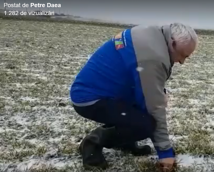 Imagini fabuloase: Petre Daea pe câmp, în plin viscol! E bine până acum! (VIDEO)  