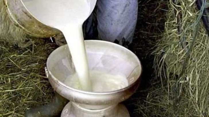 Banca Naţională a găsit lapte "mai ieftin" în Bucureşti: 2,7 lei litru