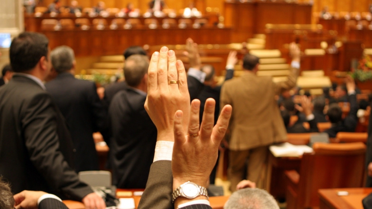 Urgenţa parlamentarilor. Camera Deputaţilor a adoptat "legea ambroziei". Planta, combătută oficial