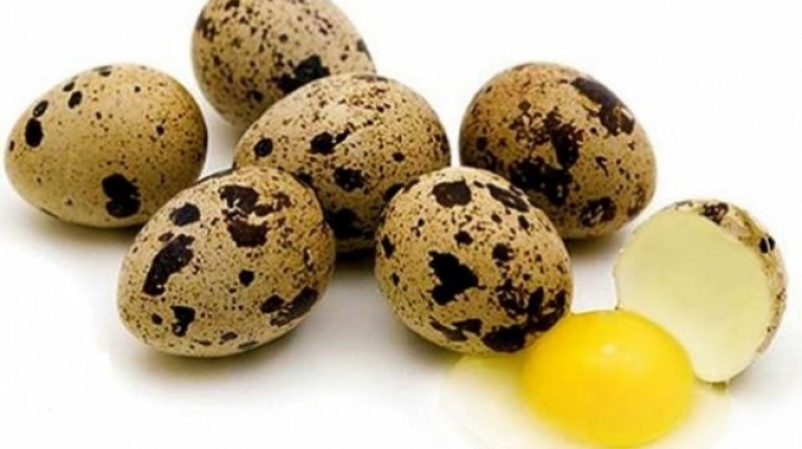 10 beneficii ale oului de prepeliţă. Ce boli pot fi tratatea cu ajutorul acestui aliment
