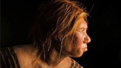 Denisovan, o altă specie cu care s-a încrucișat Homo Sapiens