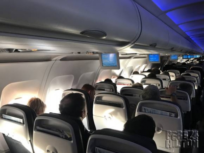 Un câine a fost găsit mort la aterizarea avionului. Oamenii au rămas fără cuvinte. Ce s-a petrecut