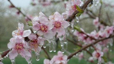 ECHINOCTIUL DE PRIMAVARA 2018