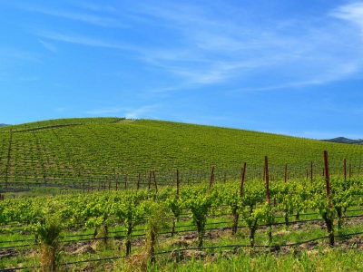 Cum arată în realitate celebra imagine de fundal de la Windows XP