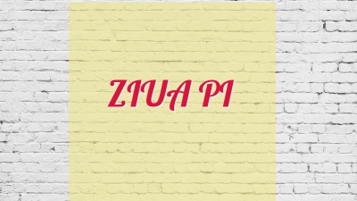 ZIUA PI