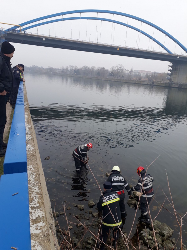 Gest disperat: O femeie s-a aruncat de pe podul din Medgidia