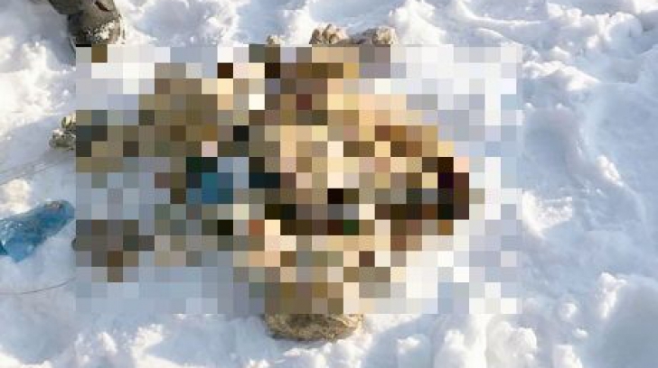 Macabru: 54 de mâini tăiate, descoperite într-un râu îngheţat. Ce s-a întâmplat, de fapt, acolo?