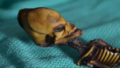 Misterul scheletului mumificat din Chile a fost elucidat