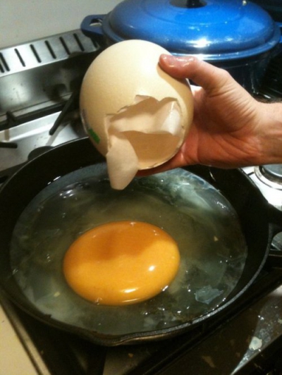 Ouăle de struţ se găsesc şi în supermarketurile de la noi. Cum se pot găti