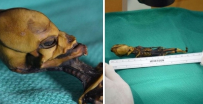 Au descoperit un mic schelet mumificat. Părea extraterestru. Ce era, de fapt. Rezultatul analizelor