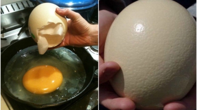 Ouăle de struţ se găsesc şi în supermarketurile de la noi. Cum se pot găti