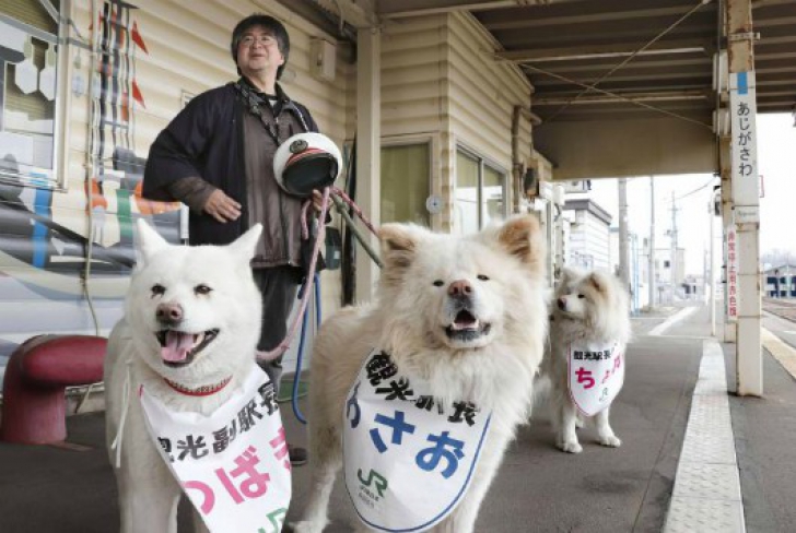 Cum a ajuns un câine vagabond șef de gară în Japonia. O poveste minunată