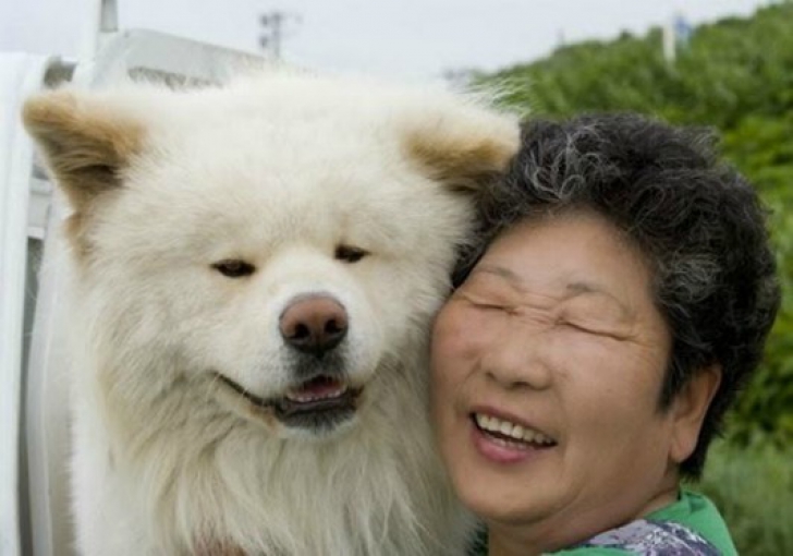 Cum a ajuns un câine vagabond șef de gară în Japonia. O poveste minunată