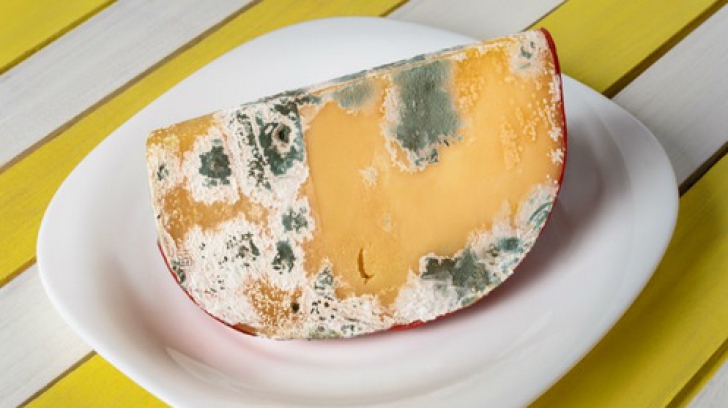 Cum se păstrează brânza proaspătă pentru mai mult timp