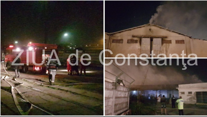 Incendiu de amploare în Portul Constanța(Video)