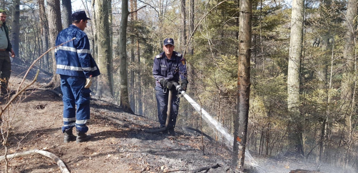 Incendiu violent într-o pădure din Bacău! 175 de oameni intervin - pericol de EXPLOZIE / Foto: ISU Bacau