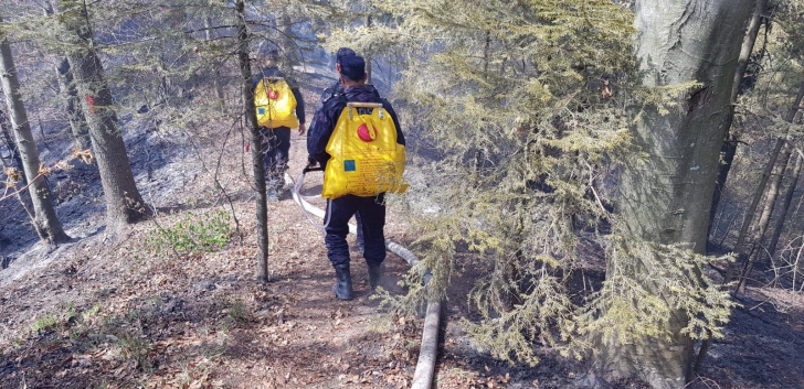 Incendiu violent într-o pădure din Bacău! 175 de oameni intervin - pericol de EXPLOZIE / Foto: ISU Bacau