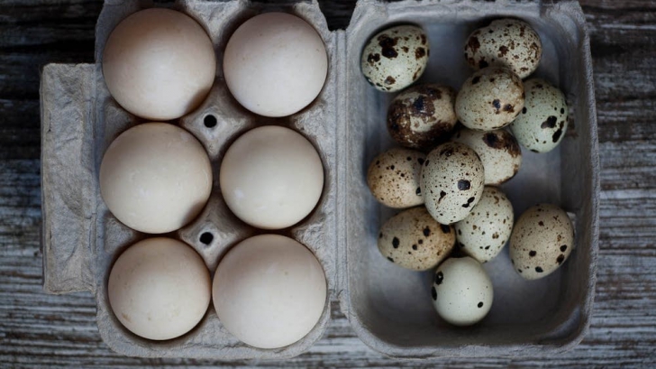 Cât de sănătos este oul de găină? Un nutriționist cunoscut ne lămurește 