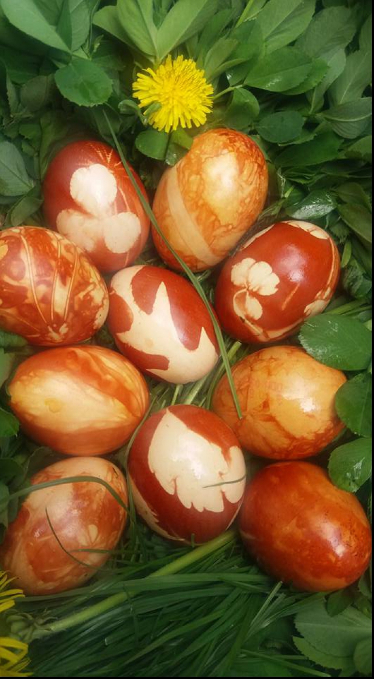 PAȘTE 2018. Cum se vopsesc tradiționalele ouă cu coji de ceapă sau frunze de pătrunjel, mărar