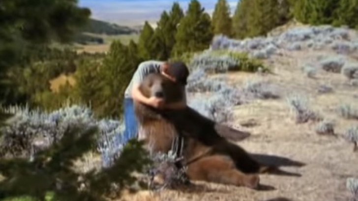 A salvat un pui de urs rămas orfan. După 6 ani, animalul i-a făcut ceva incredibil!