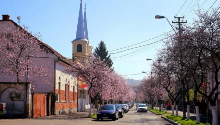 Strada înflorită care i-a fermecat pe români. Acesta e locul de poveste al amatorilor de selfie-uri / Foto: ziare.com