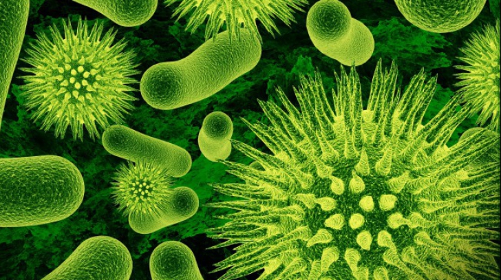 O superbacterie pentru care nu există tratament se răspândeşte îngrijorător în SUA