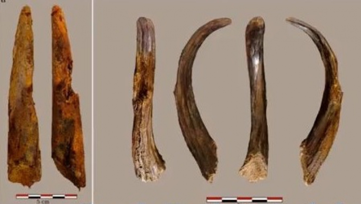 Descoperirea care ar putea rescrie istoria: unelte vechi de 90.000 de ani, găsite în Europa