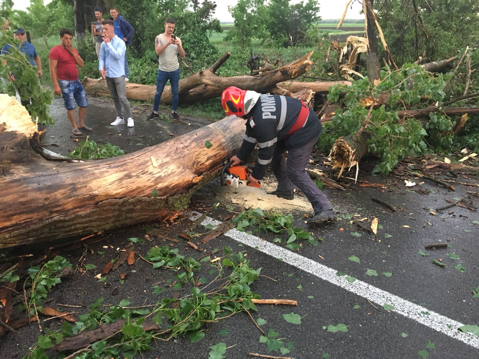 Copac căzut peste o mașină aflată în trafic, în Harghita – Două persoane au fost rănite