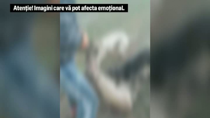 Cruzime extremă: un bărbat s-a filmat în ce omora o căprioară
