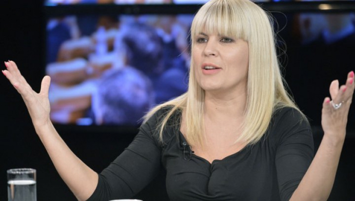 Elena Udrea:Dosarele în care SRI a lucrat cu DNA ar trebui rejudecate. Îmi voi prezenta cazul la ONU