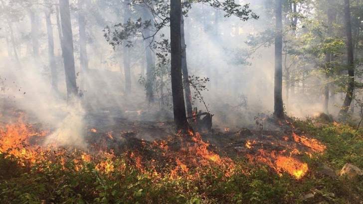 INCENDIU de vegetaţie în Munţii Ciucaş: Zeci de pompieri intervin pentru stingerea focului