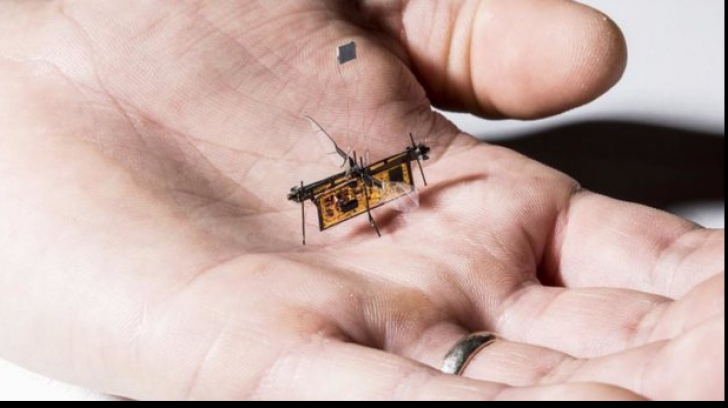 Prima insectă robotică wireless și-a luat zborul! Iată cum se alimentează