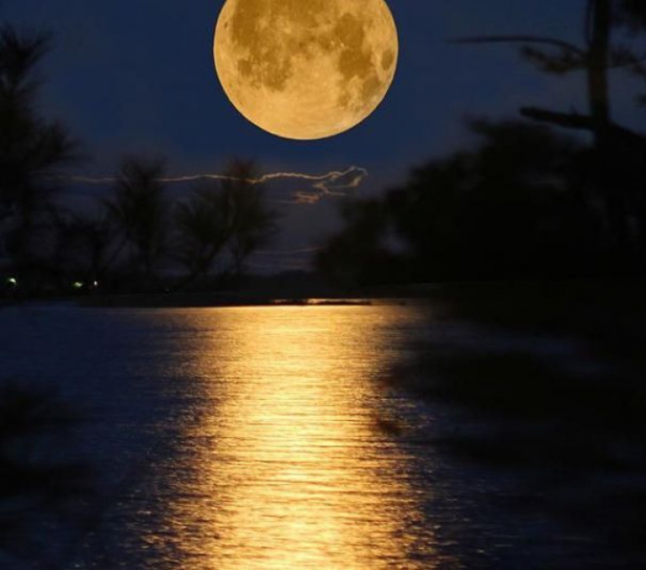Luna plină florală de marți noaptea. Imagini superbe adunate din colțurile lumii 